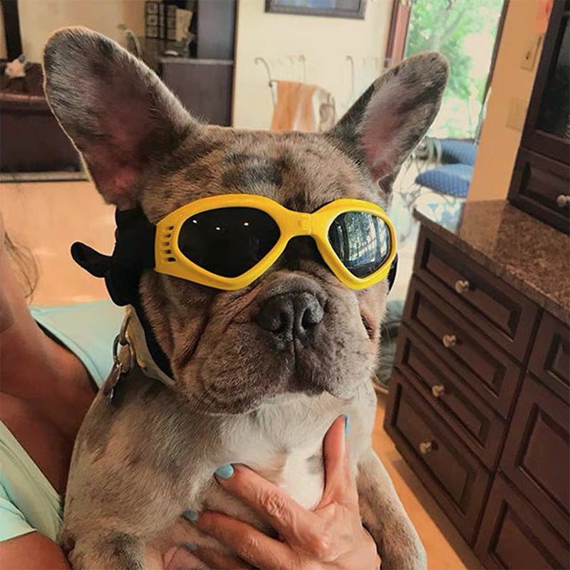 Lunettes de soleil pour chien – Protection des yeux