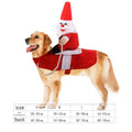 Déguisement Halloween pour petit chien – Style décalé