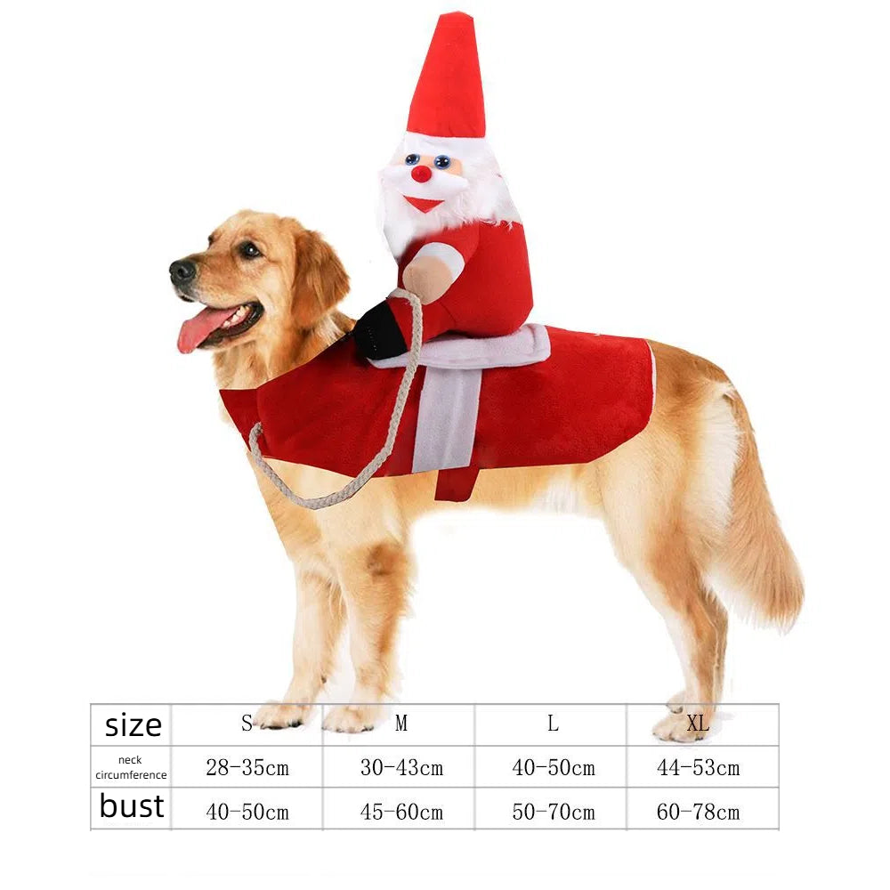 Déguisement Halloween pour petit chien – Style décalé