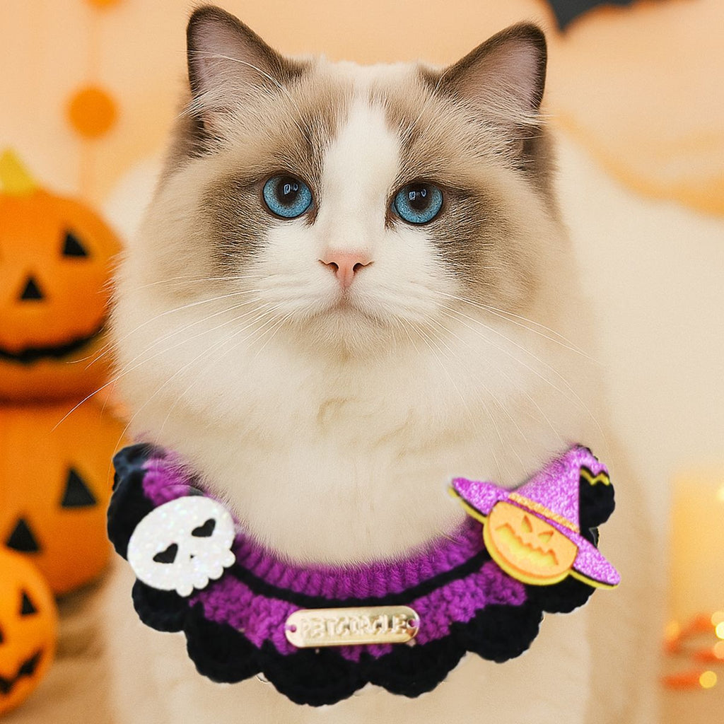 Bandana Halloween pour chien & chat – Motifs festifs