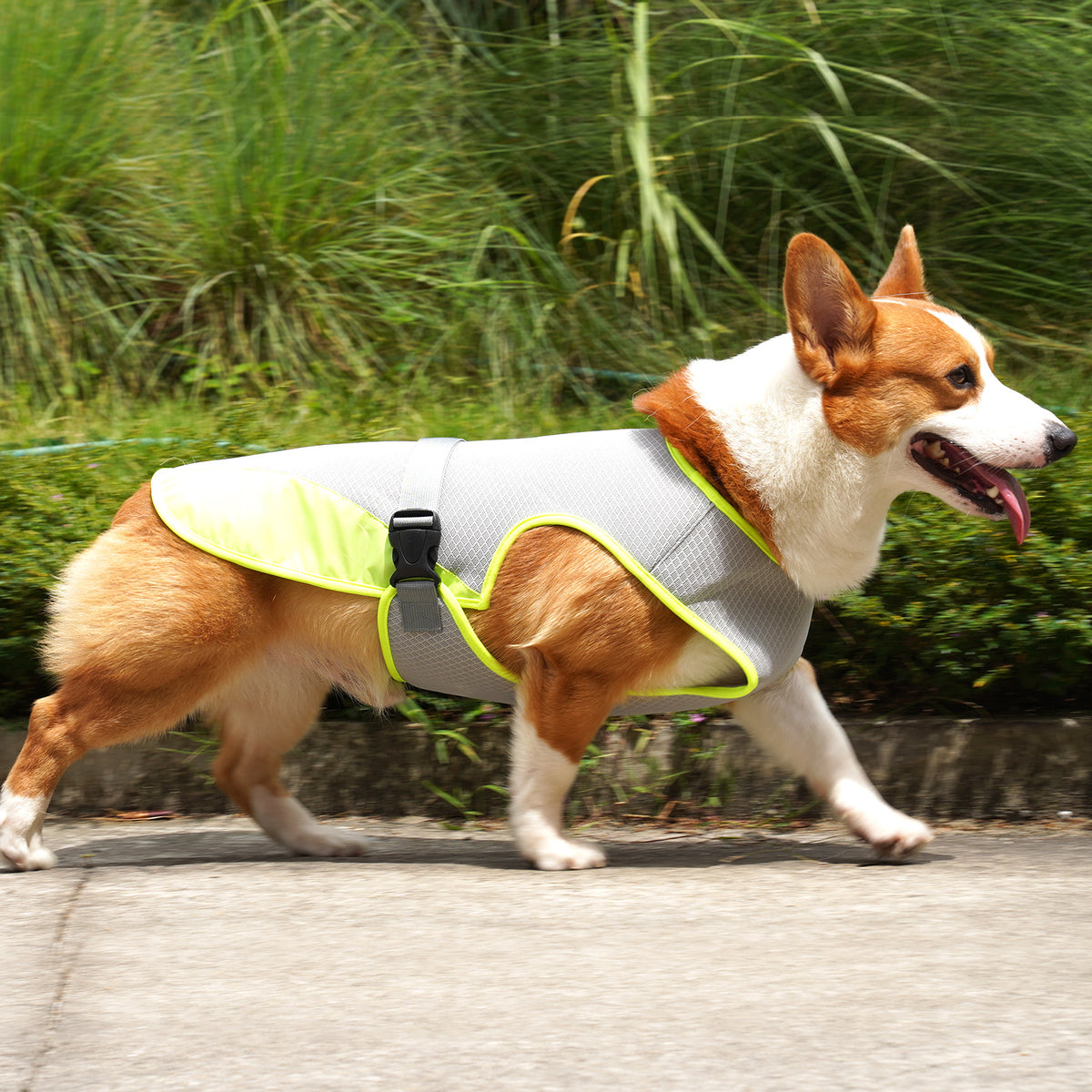 Vêtement rafraîchissant pour chien – Tissu léger