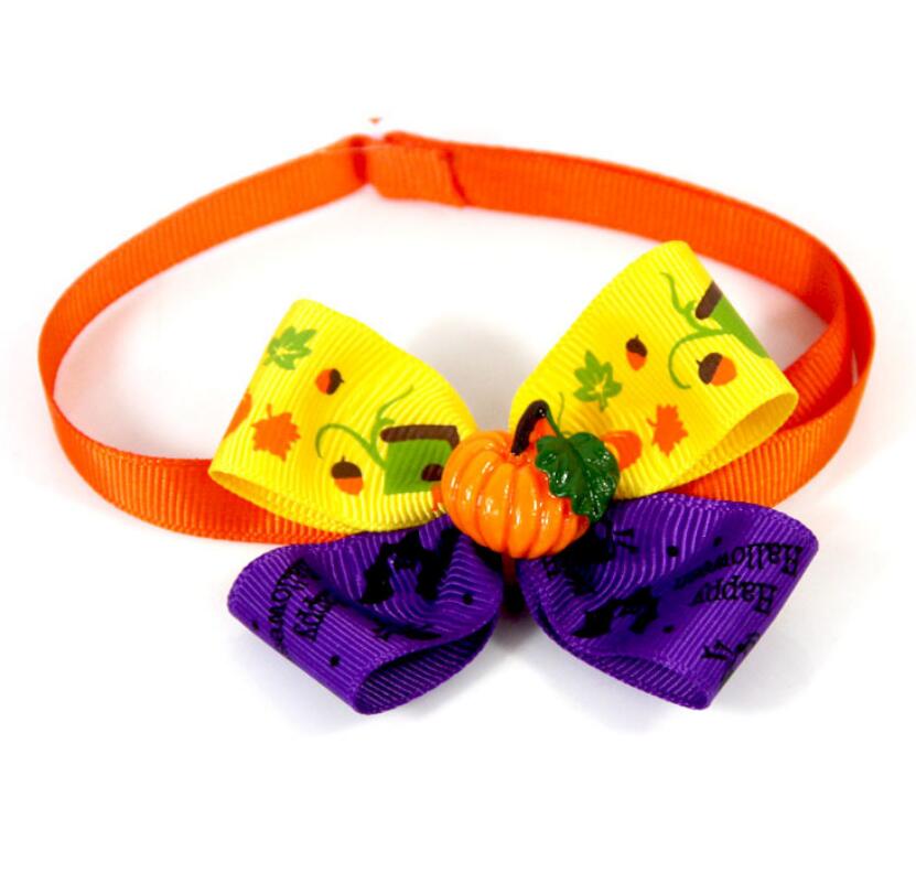 Nœud papillon citrouille pour chien & chat