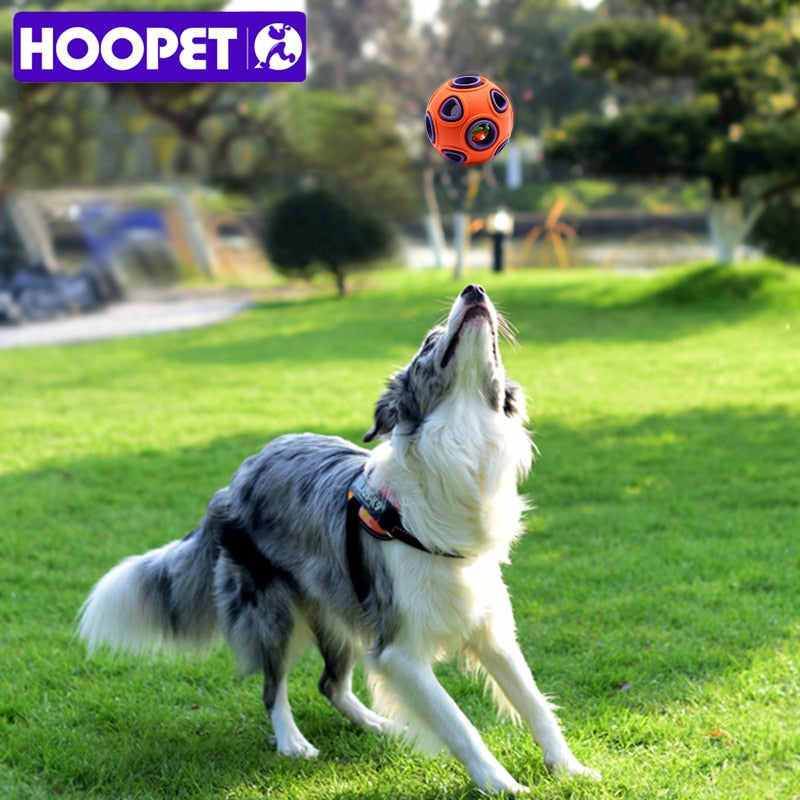 Balle interactive à mâcher pour chien – Distributeur