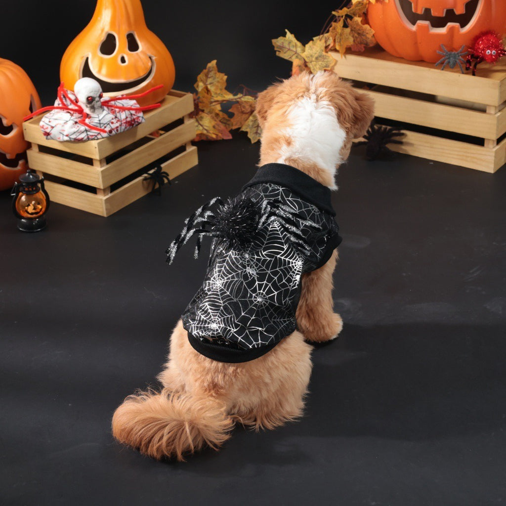 Cape Halloween pour chien – Toile d’araignée