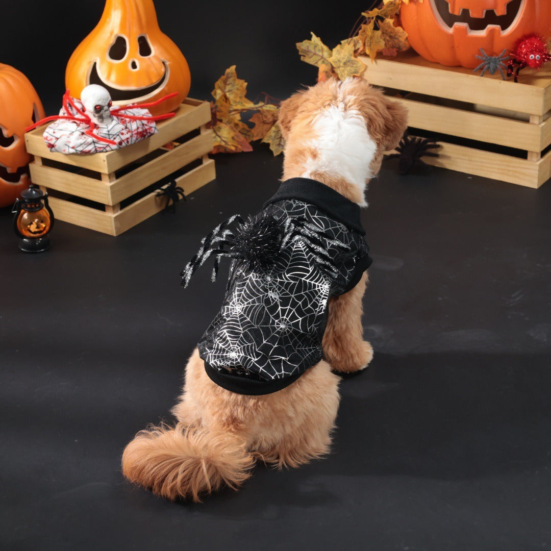 Cape Halloween pour chien – Toile d’araignée