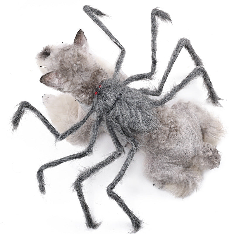 Déguisement Halloween pour chien – Araignée