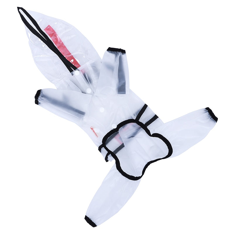 Imperméable transparent pour chien – Léger & coupe-vent
