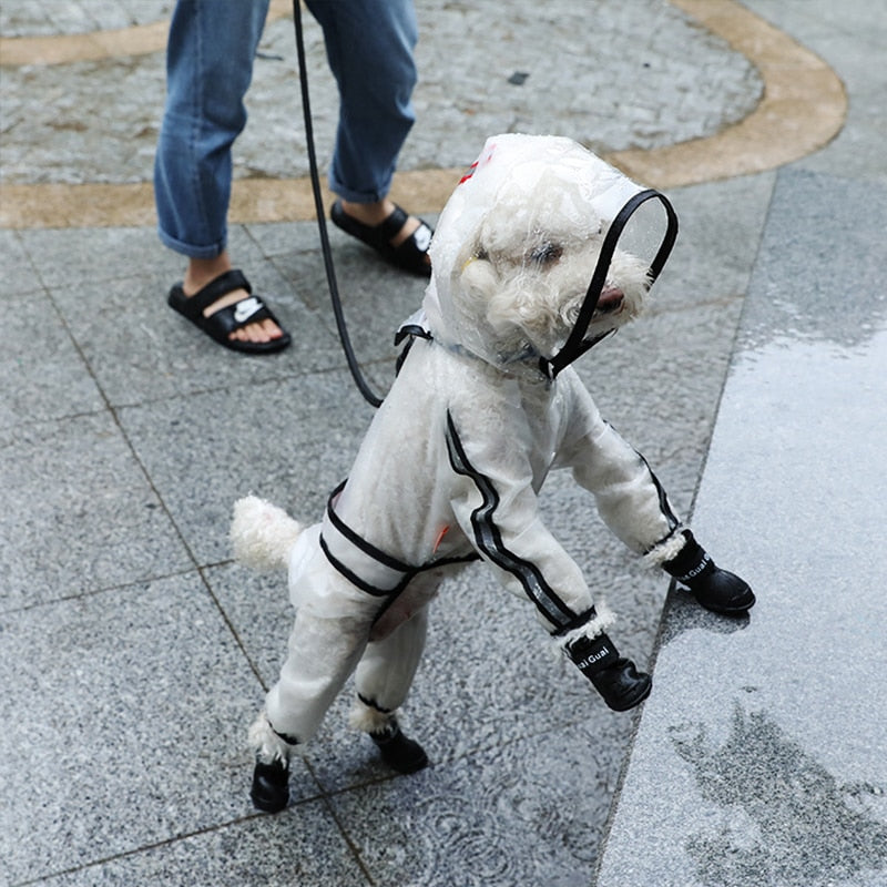 Imperméable transparent pour chien – Léger & coupe-vent