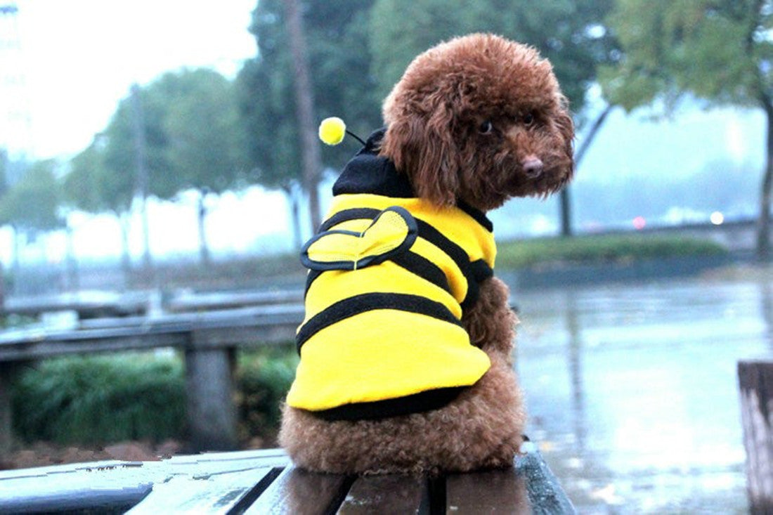 Sweat à capuche chaud pour chien – Motif abeille