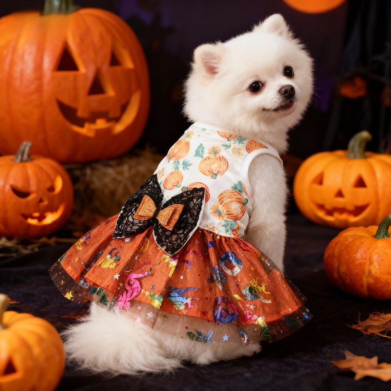 Robe Halloween pour chien – Citrouille & tête de mort