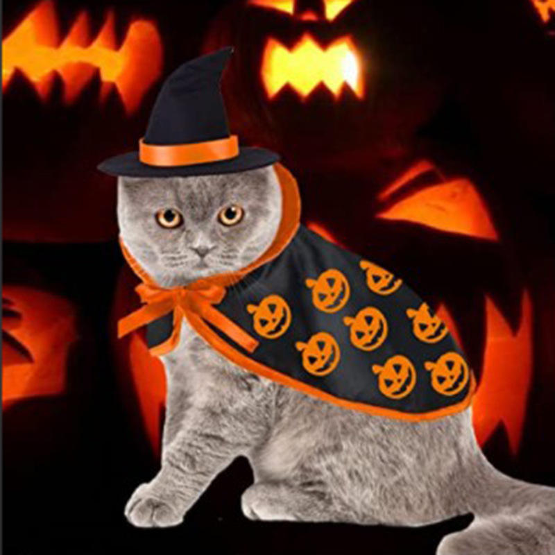 Cape Halloween pour chien & chat – Super-héros