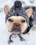 Chapeau tricoté pour chien & chat – Modèles originaux