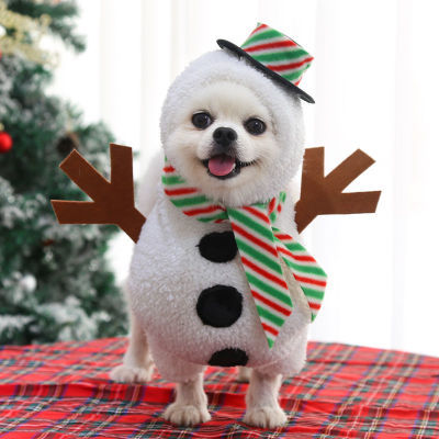 Déguisement Halloween pour petit chien – Style décalé