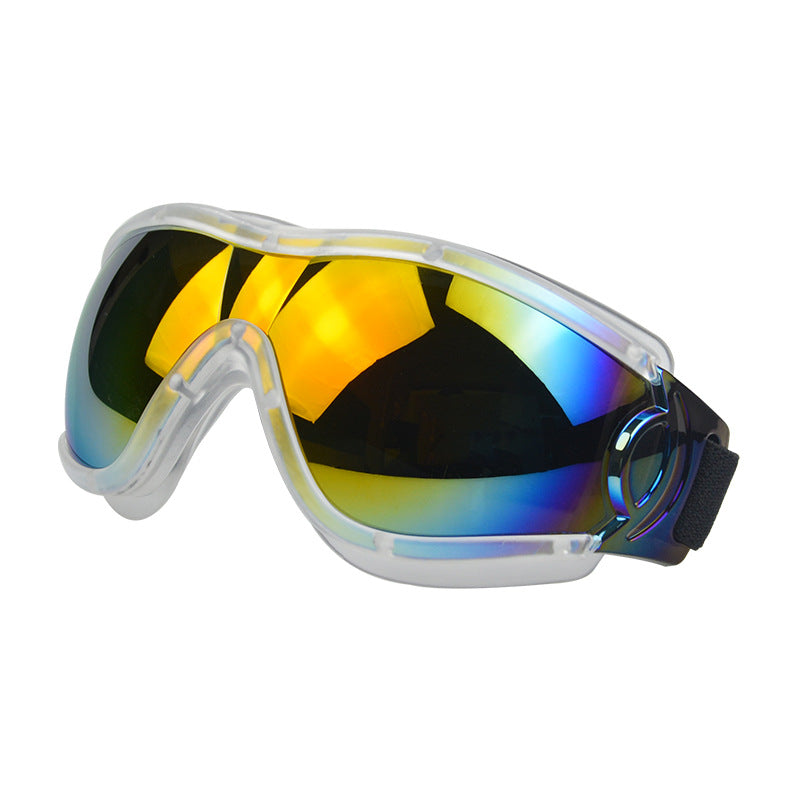 Lunettes pour chien – Protection UV & style