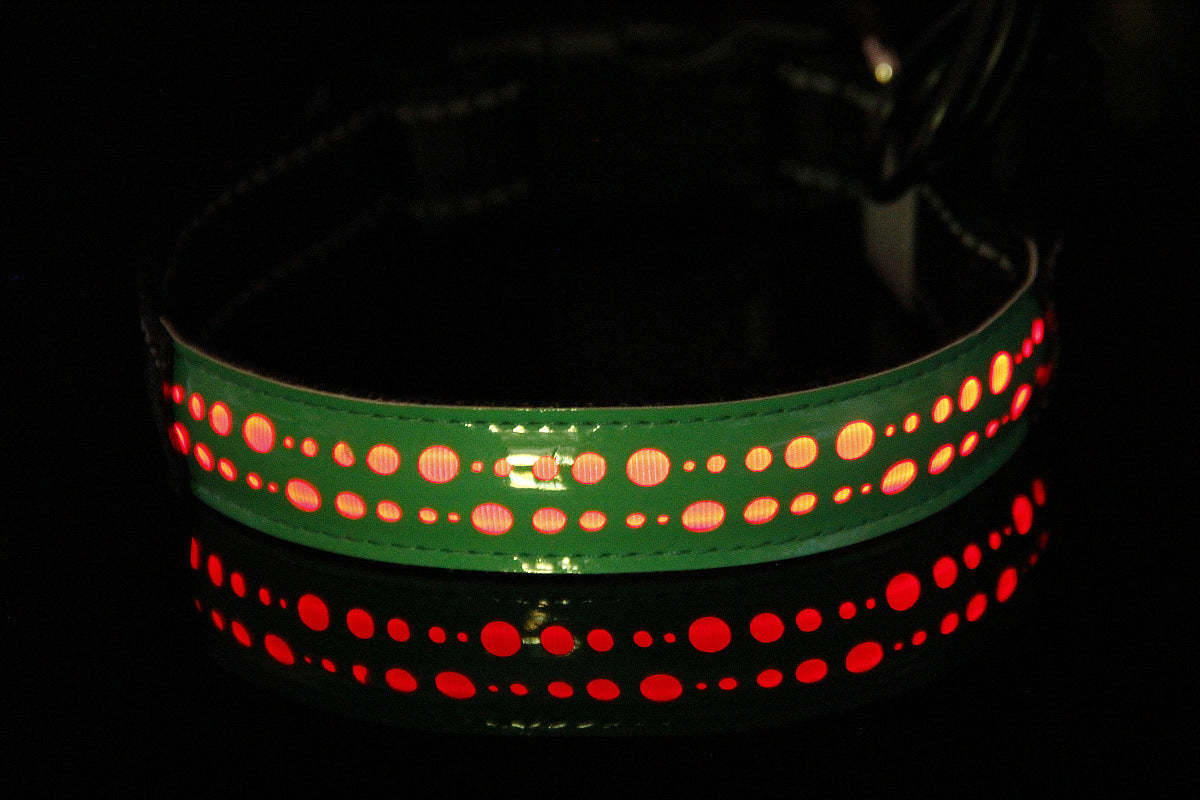 Collier LED rechargeable pour chien – Visible la nuit