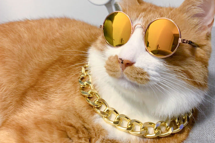 Lunettes fantaisie pour chien & chat – Accessoire insolite