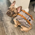 Sac à dos pour chien – Petit sac de promenade
