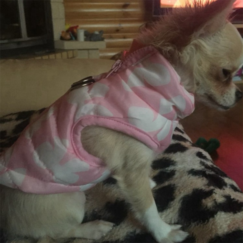 Gilet chaud pour petit chien – Coupe-vent