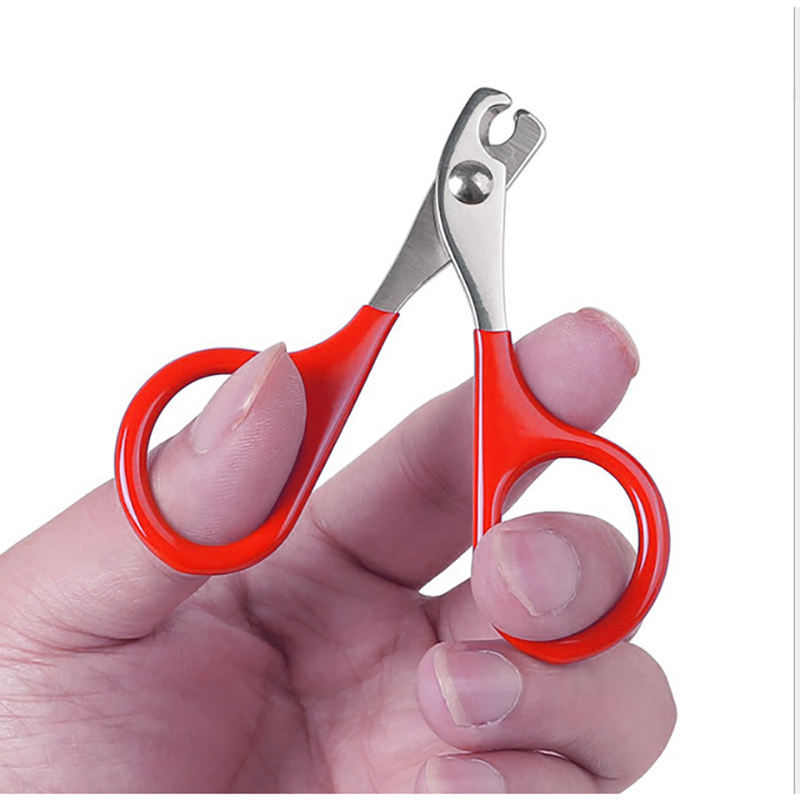 Coupe-ongles pour chien & chat – Pince en acier inoxydable