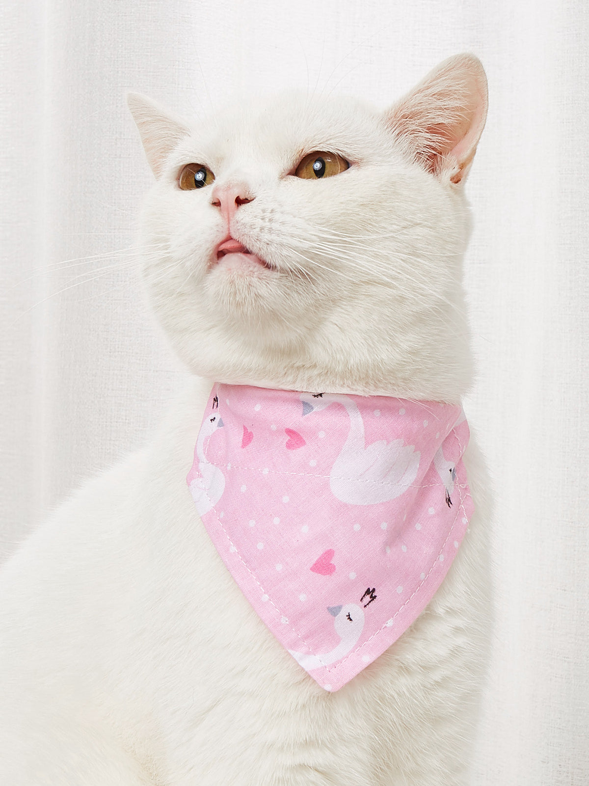 Bandana pour chien & chat – Foulard en coton