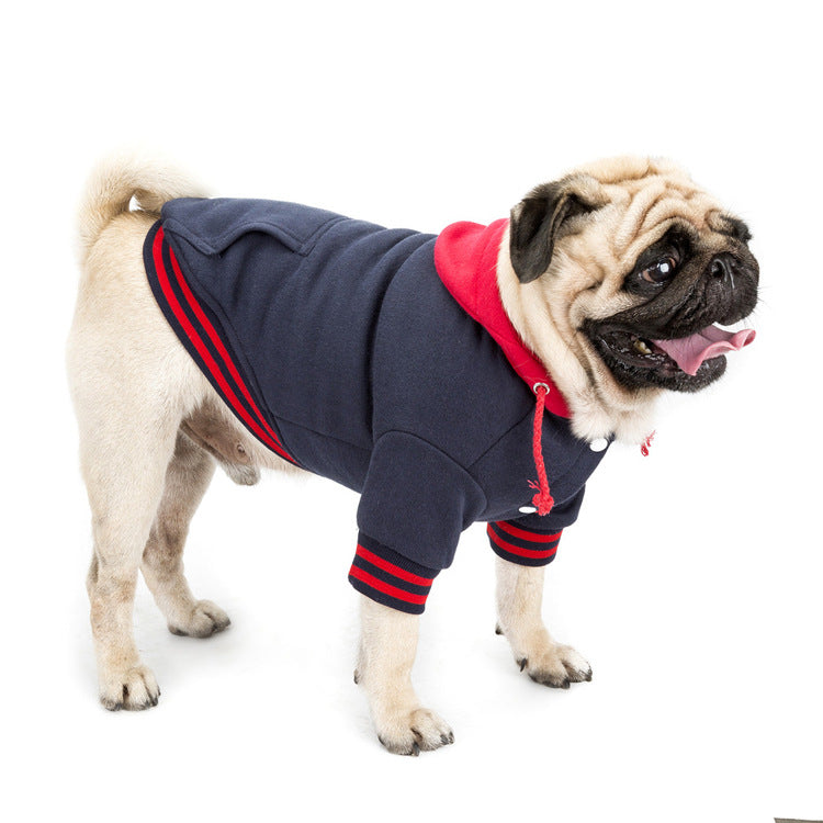 Pull en coton pour chien – Coloris contrastés