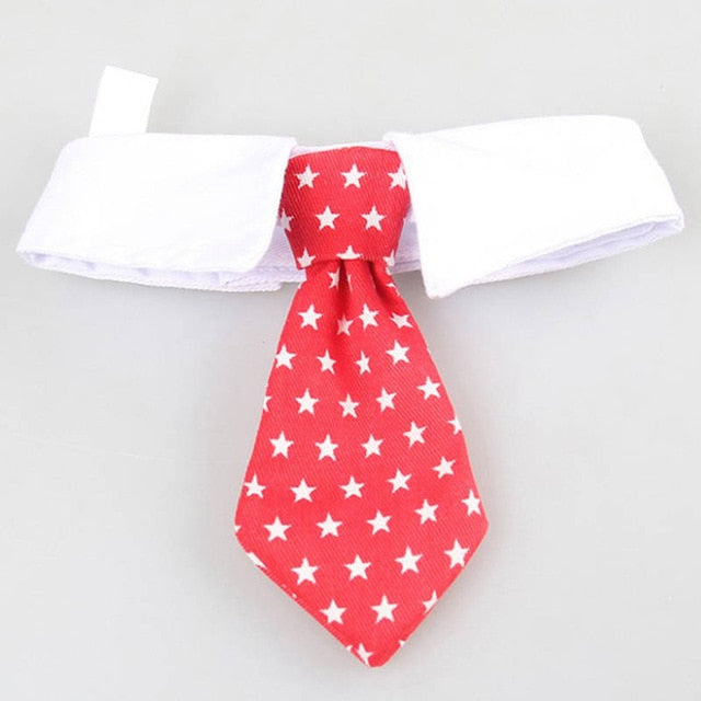 Nœud papillon pour chien & chat – Collier décoratif