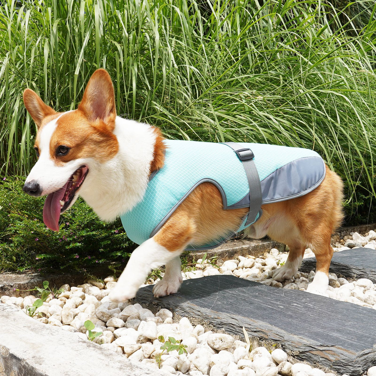 Vêtement rafraîchissant pour chien – Tissu léger