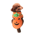 Costume Halloween pour chien & chat – Citrouille chaud