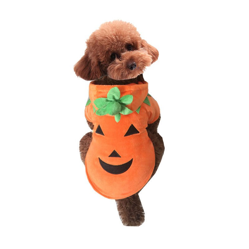 Costume Halloween pour chien & chat – Citrouille chaud