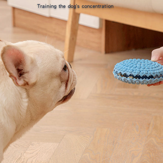 Balle sonore à mâcher pour chien – Jouet TPR
