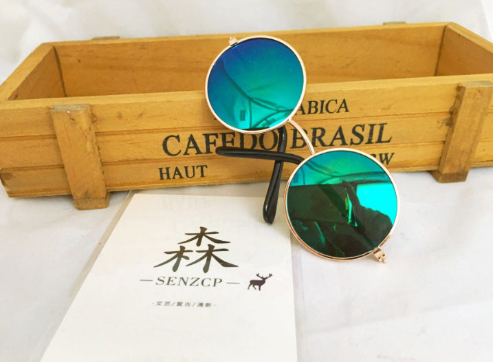 Lunettes fantaisie pour chien & chat – Accessoire insolite
