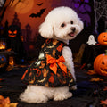 Robe Halloween pour chien – Citrouille & chauve-souris