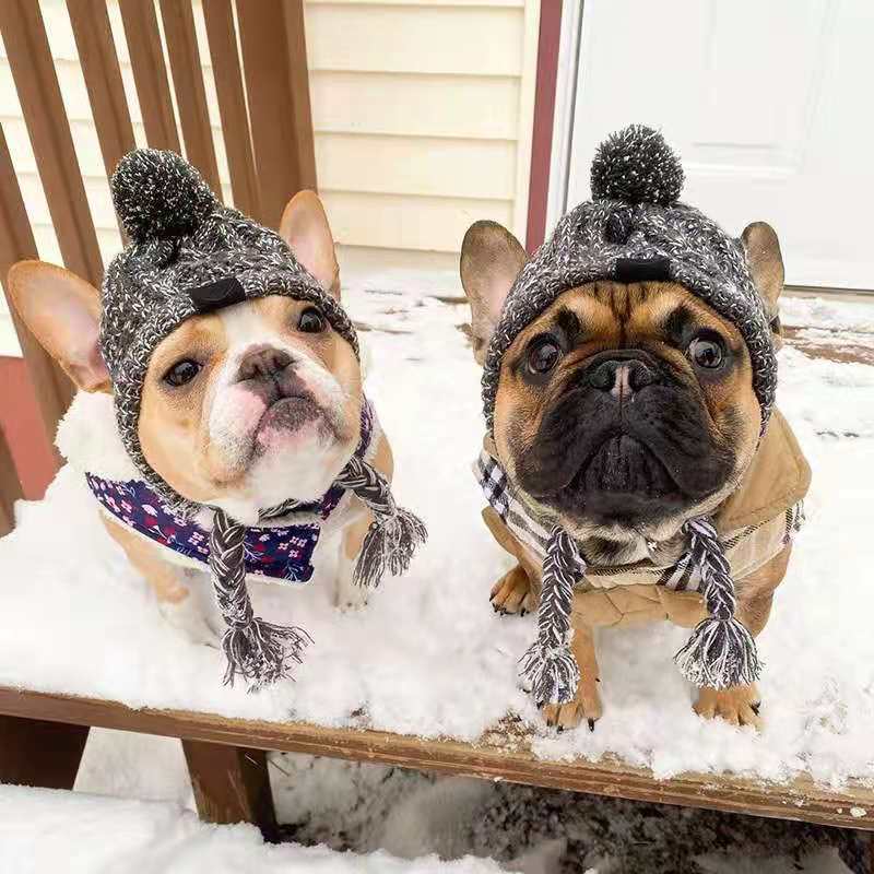 Chapeau tricoté pour chien & chat – Modèles originaux