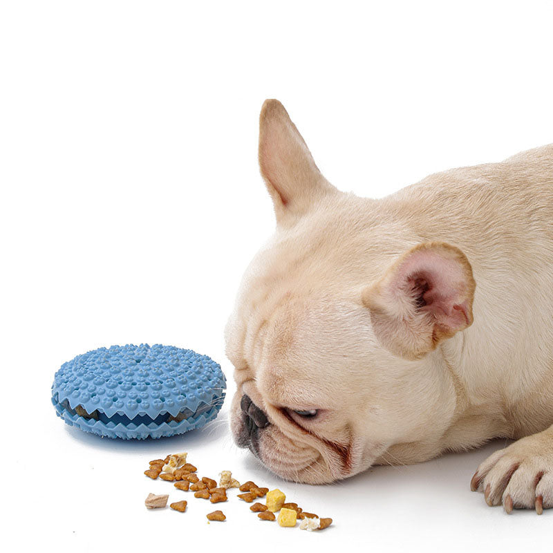 Balle sonore à mâcher pour chien – Jouet TPR