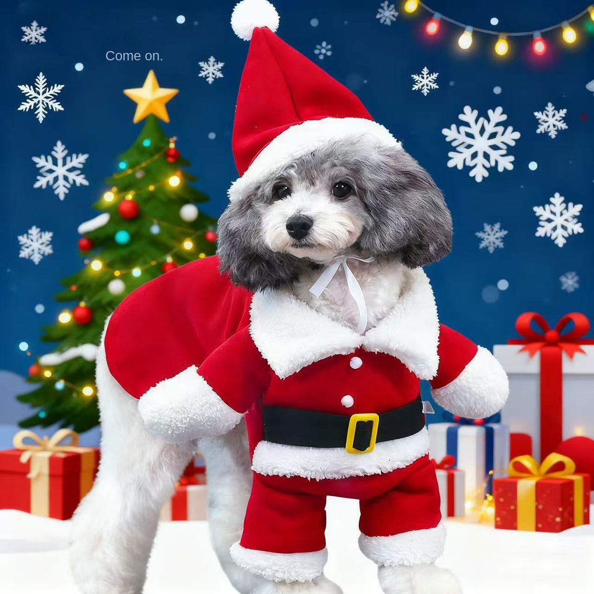 Déguisement de Noël pour chien & chat – Père Noël