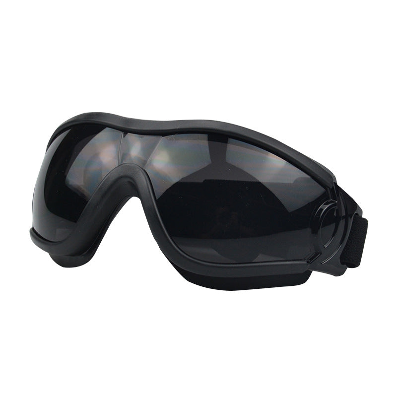 Lunettes pour chien – Protection UV & style