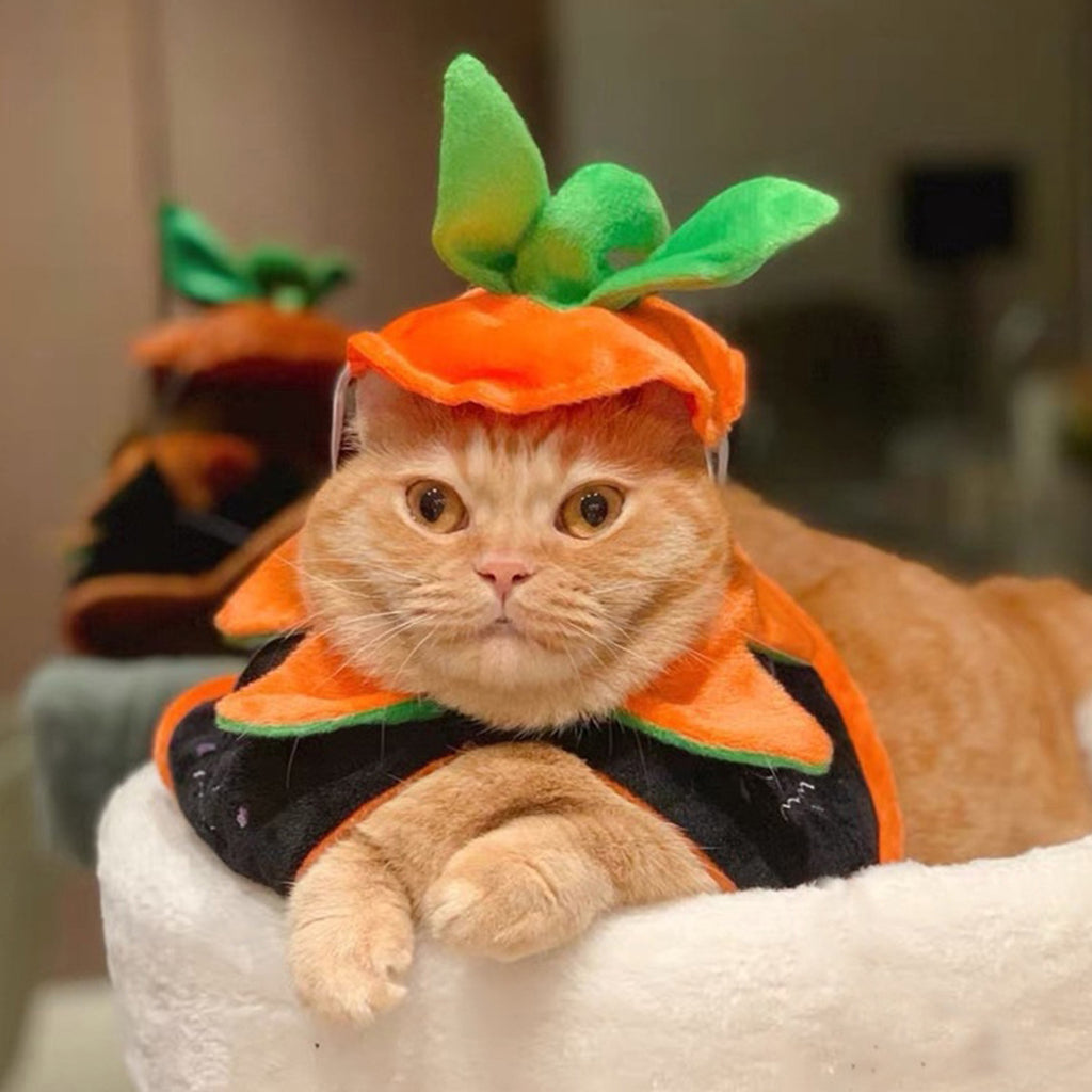 Cape réversible Halloween pour chien & chat – Orange & noir