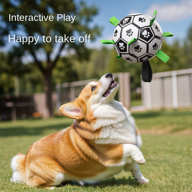 Balle de football pour chien – Nettoyage des dents
