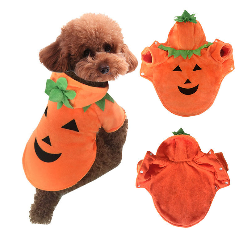 Costume Halloween pour chien & chat – Citrouille chaud