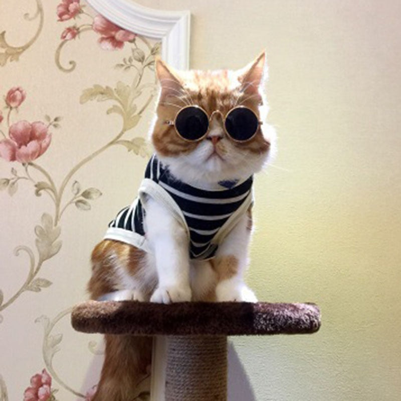 Lunettes fantaisie pour chat & petit chien