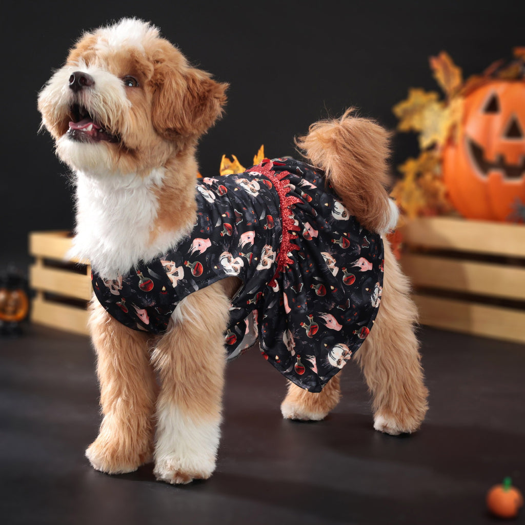 Robe Halloween pour chien – Chauve-souris & gouttes de sang