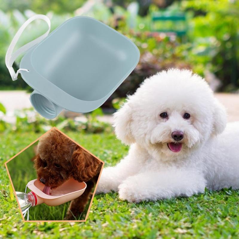 Gourde de voyage pour chien & chat – Eau & alimentation