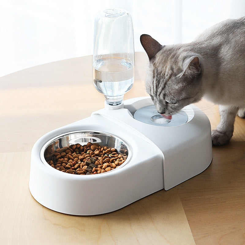 Gamelle anti-renversement pour chien & chat – Fontaine à eau