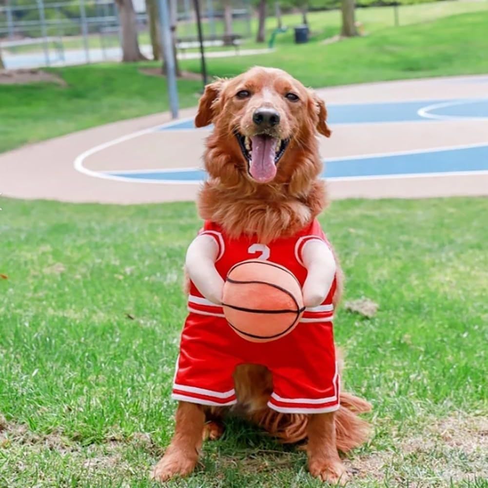 Tenue de basket pour chien – Maillot sportif