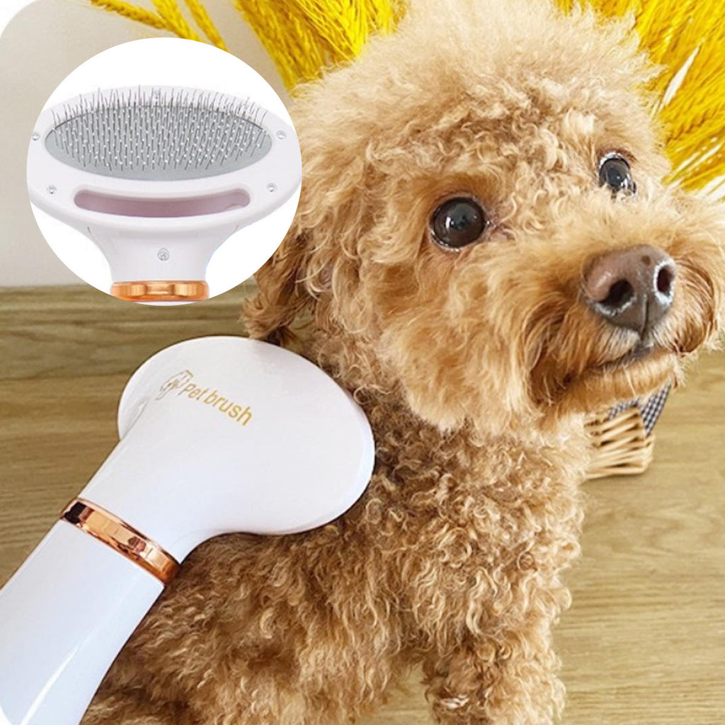 Brosse séchante pour chien & chat – Peigne à air chaud