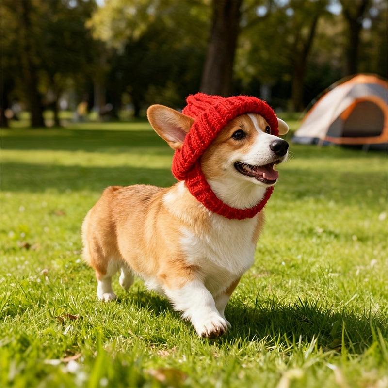 Bonnet tricoté Halloween pour chien – Chaud & coupe-vent