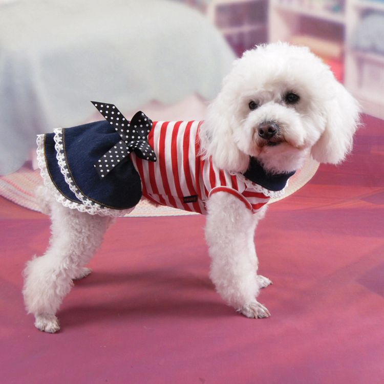 Jupe en jean pour chien – Style princesse