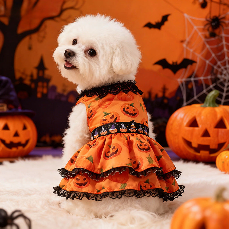 Robe Halloween pour chien – Dentelle citrouille