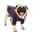 Pull en coton pour chien – Coloris contrastés