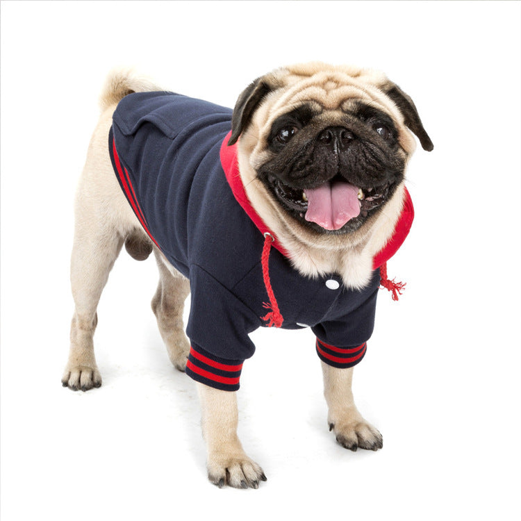 Pull en coton pour chien – Coloris contrastés